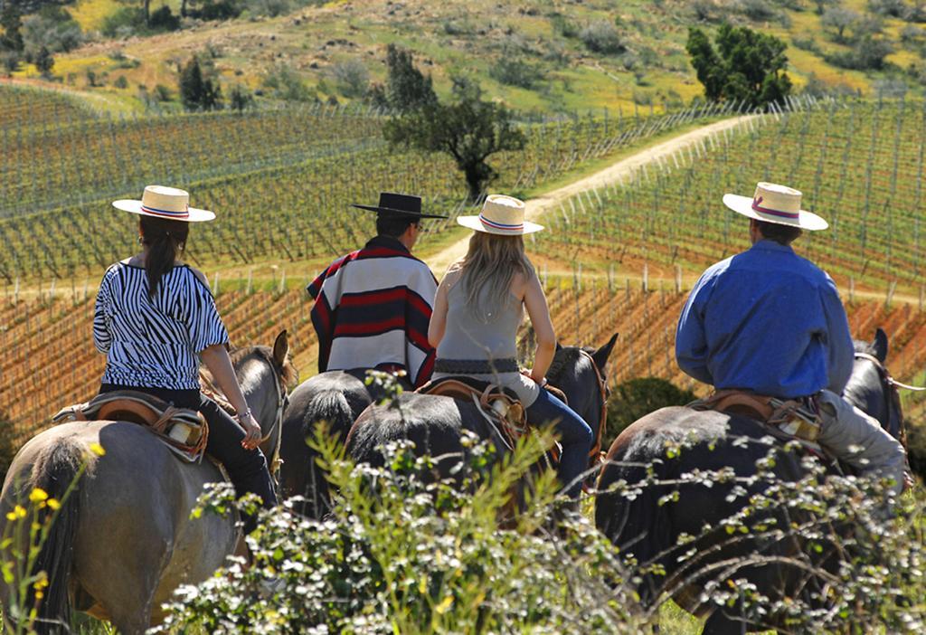 Lagunillas La Casona At Matetic Vineyards 게스트하우스 외부 사진